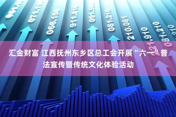 汇金财富 江西抚州东乡区总工会开展“六一”普法宣传暨传统文化体验活动