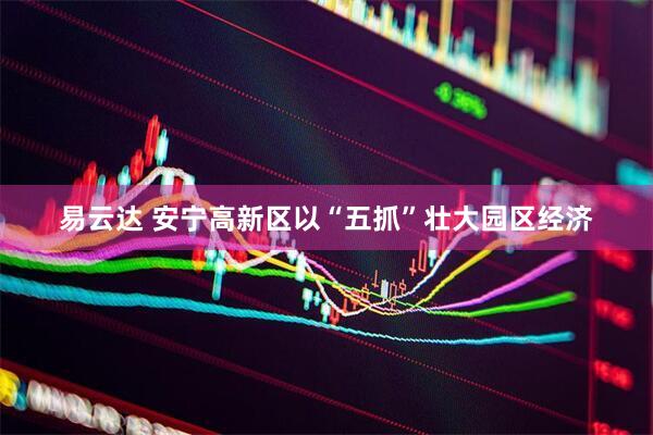 易云达 安宁高新区以“五抓”壮大园区经济