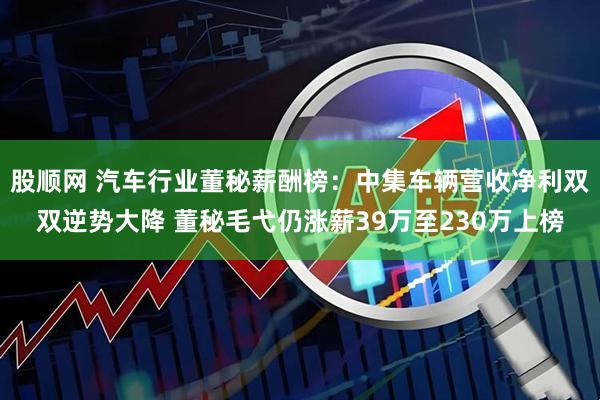 股顺网 汽车行业董秘薪酬榜：中集车辆营收净利双双逆势大降 董秘毛弋仍涨薪39万至230万上榜