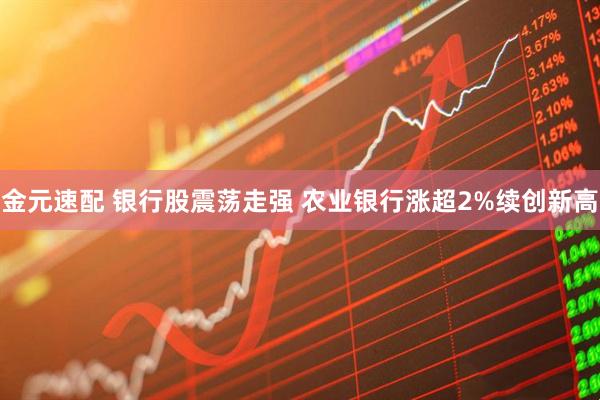金元速配 银行股震荡走强 农业银行涨超2%续创新高