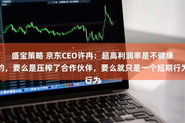 盛宝策略 京东CEO许冉：超高利润率是不健康的，要么是压榨了合作伙伴，要么就只是一个短期行为