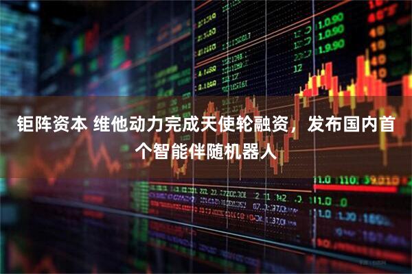 钜阵资本 维他动力完成天使轮融资，发布国内首个智能伴随机器人