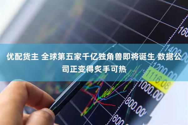 优配货主 全球第五家千亿独角兽即将诞生 数据公司正变得炙手可热