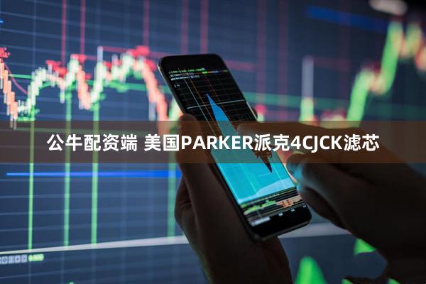 公牛配资端 美国PARKER派克4CJCK滤芯